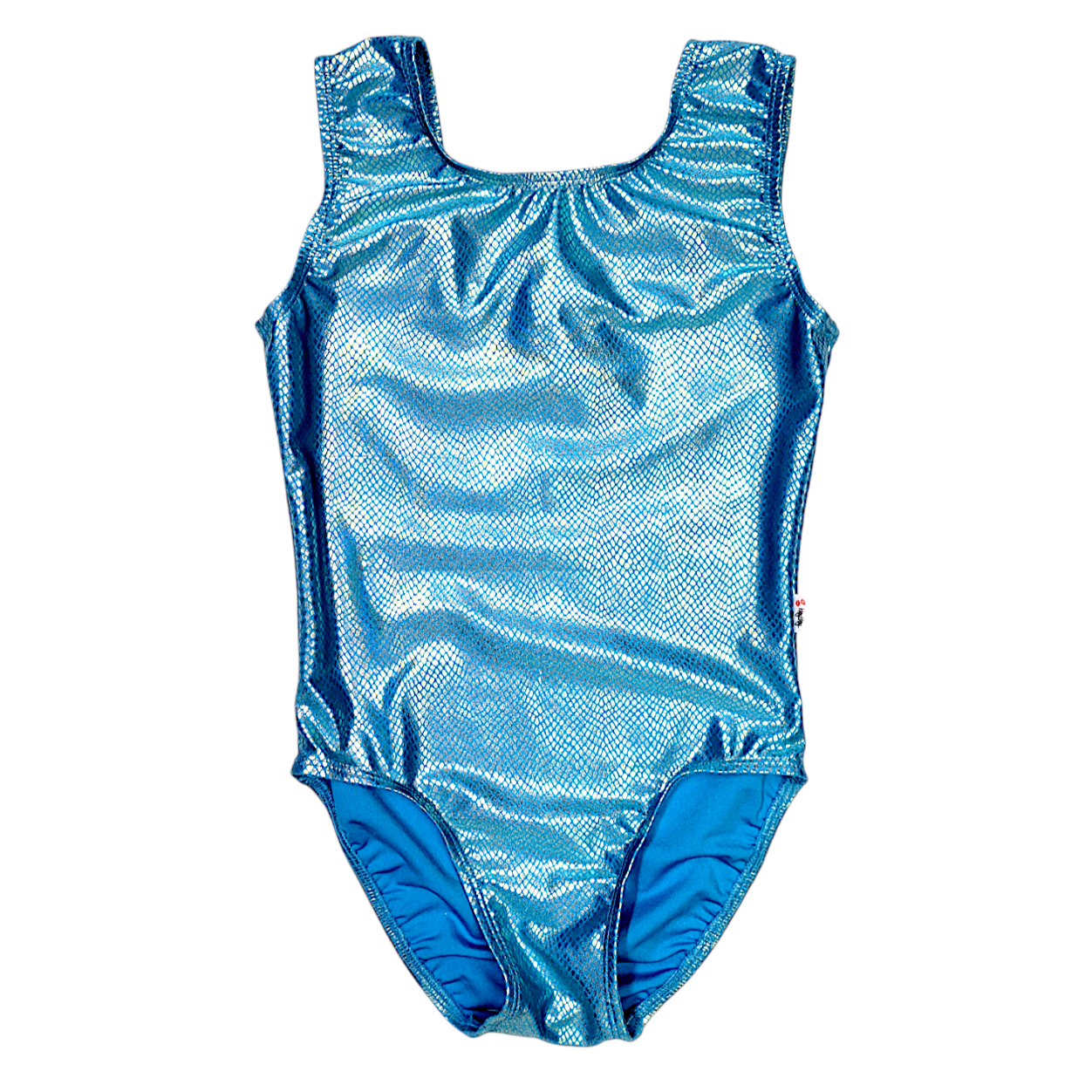 Leotard in Blue Scale